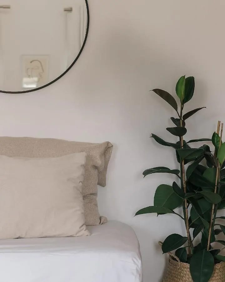 Terra Nova Apartament